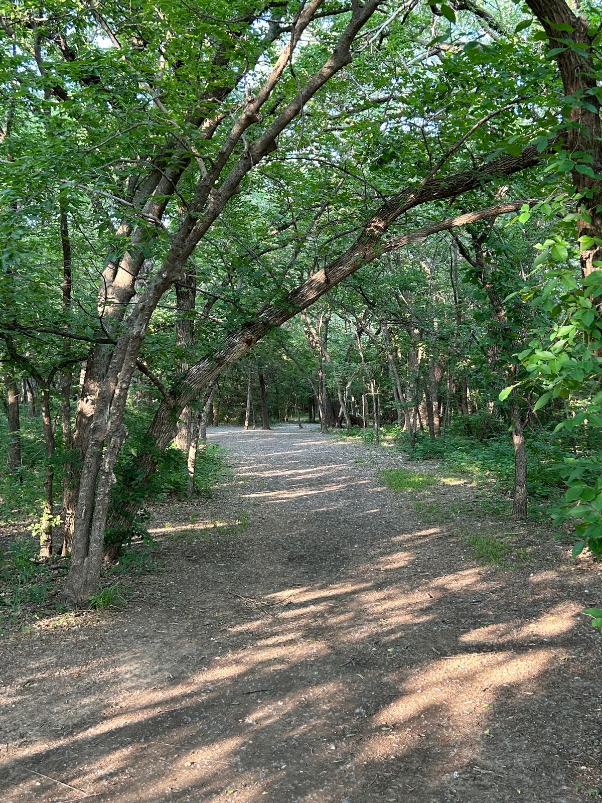 Hole 6
