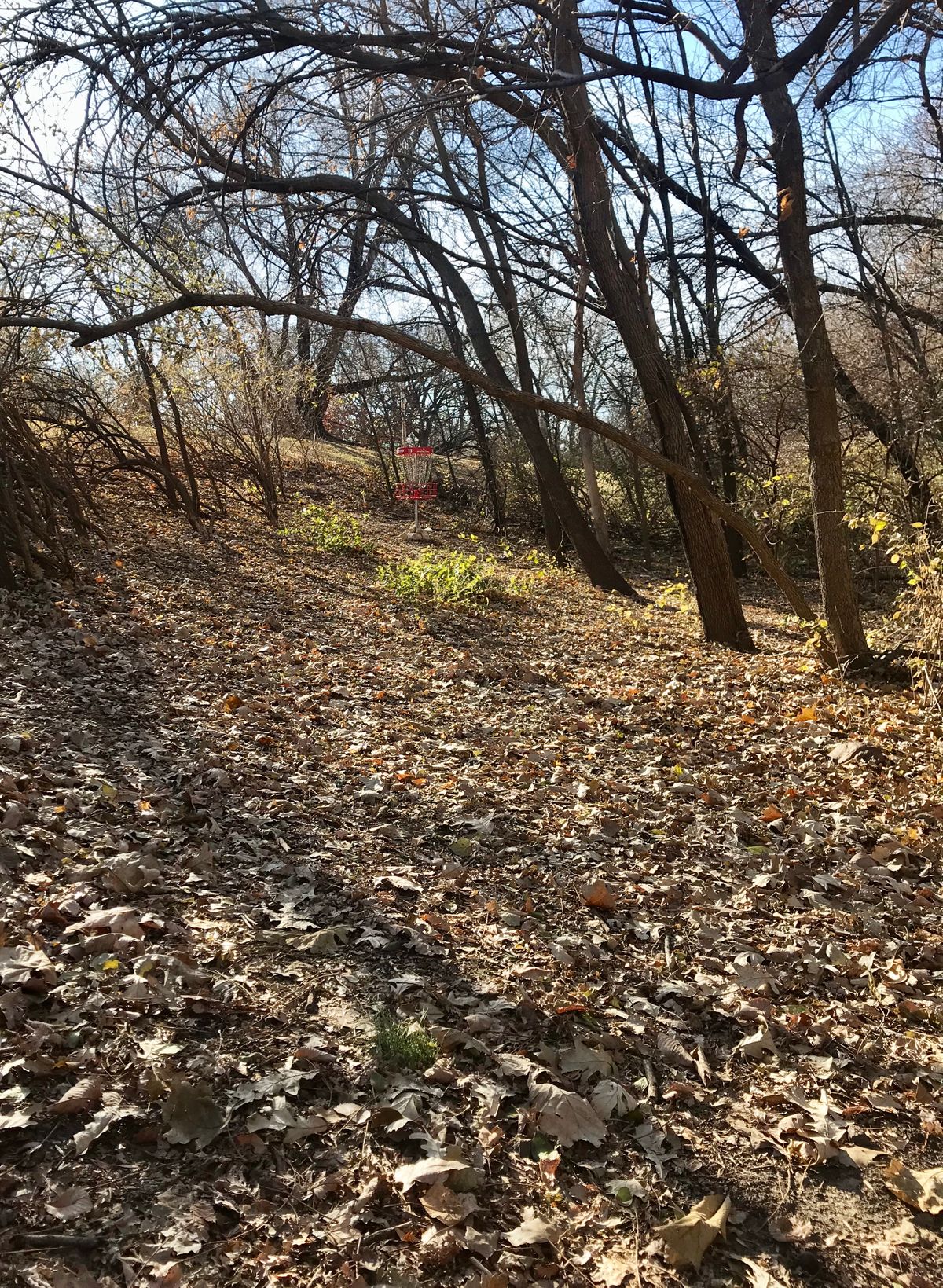 Hole 11 Approach