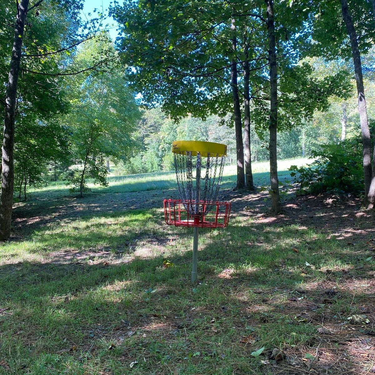 Hole 16 basket