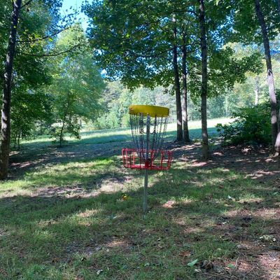Hole 16 basket