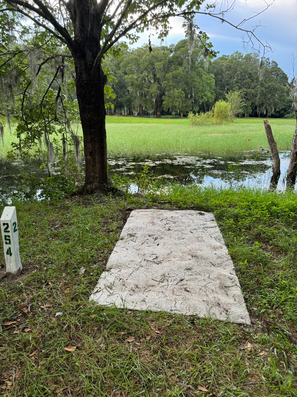 Surrounded by water in pond is OB.  Discs that never cross can rethrow or play from the short pad with a penalty stroke.
