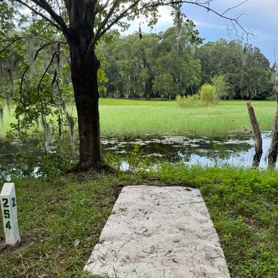 Surrounded by water in pond is OB.  Discs that never cross can rethrow or play from the short pad with a penalty stroke.