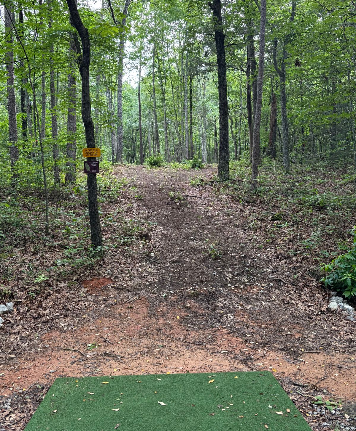 Hole #12 Tee