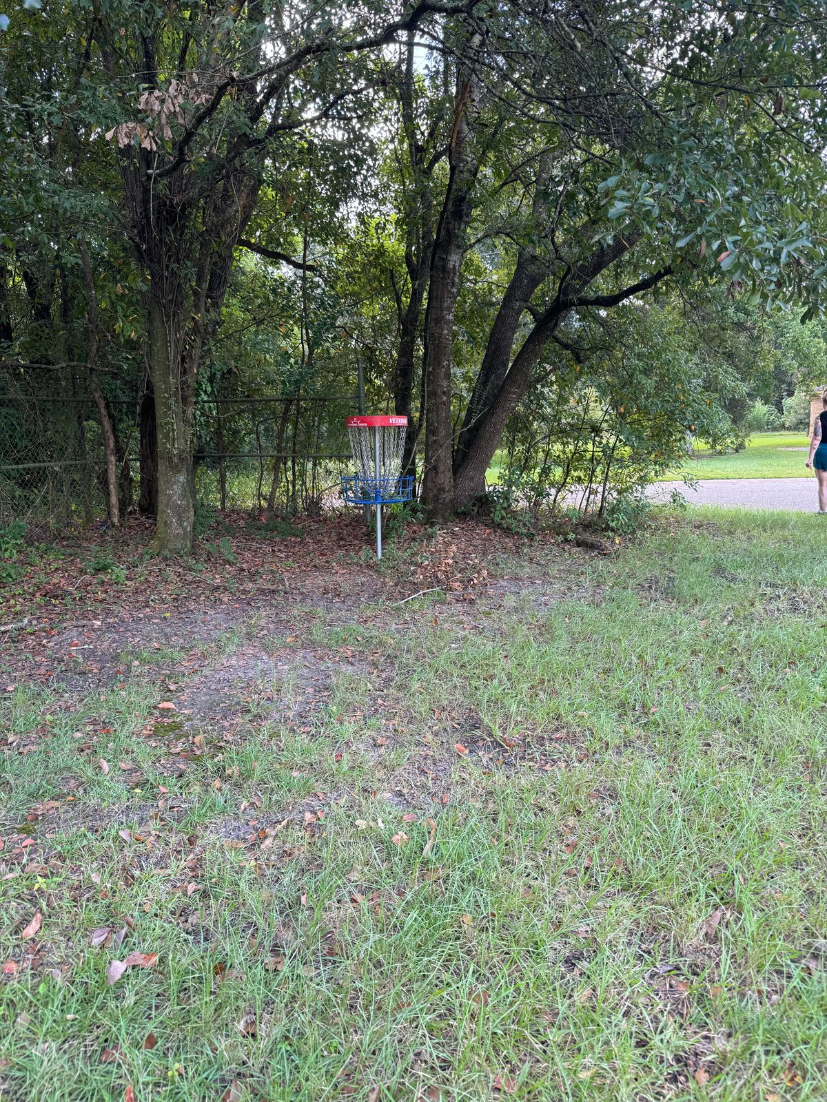 Hole 8 basket