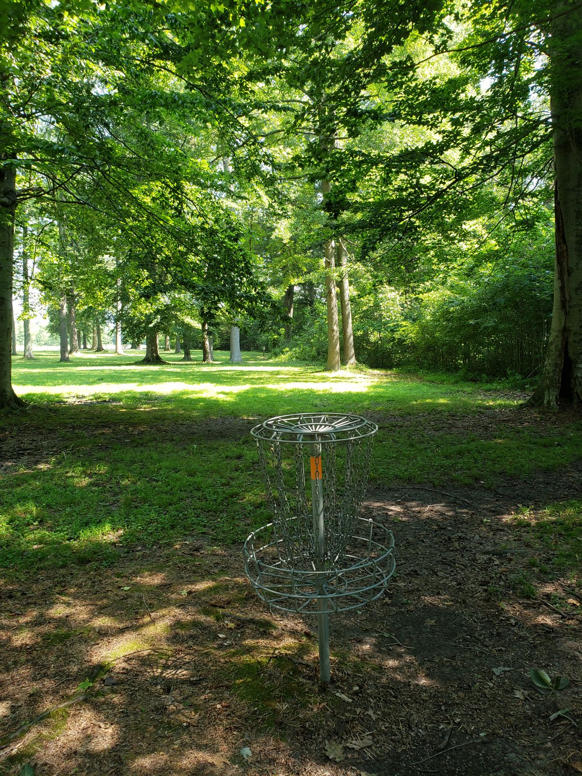 #3 Basket looking back to the Tee-Off sign.