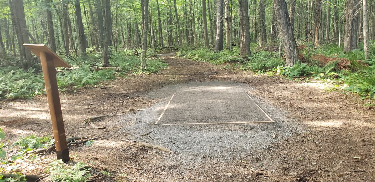 Short tee looking towards long tee #8.