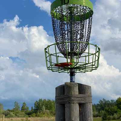 Hole 10 elevated basket