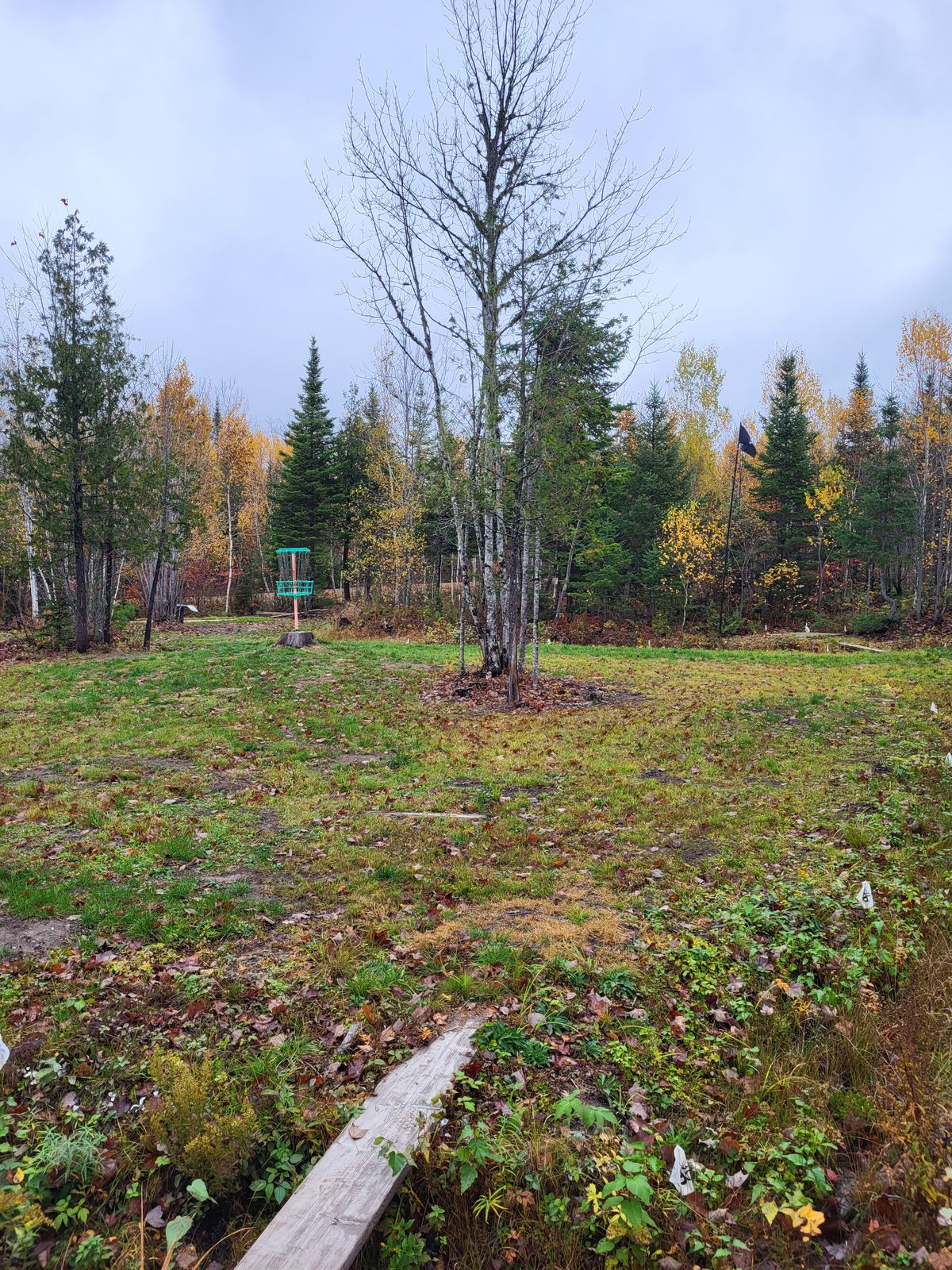 Basket on the island of hole 9