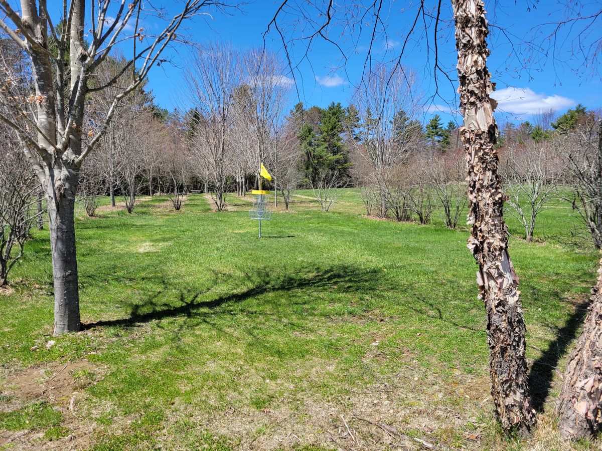 Hole 15 Green