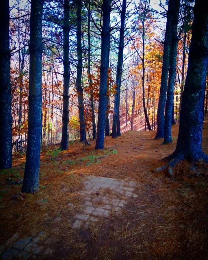 Wish I took more pics cuz the course is awesome.
