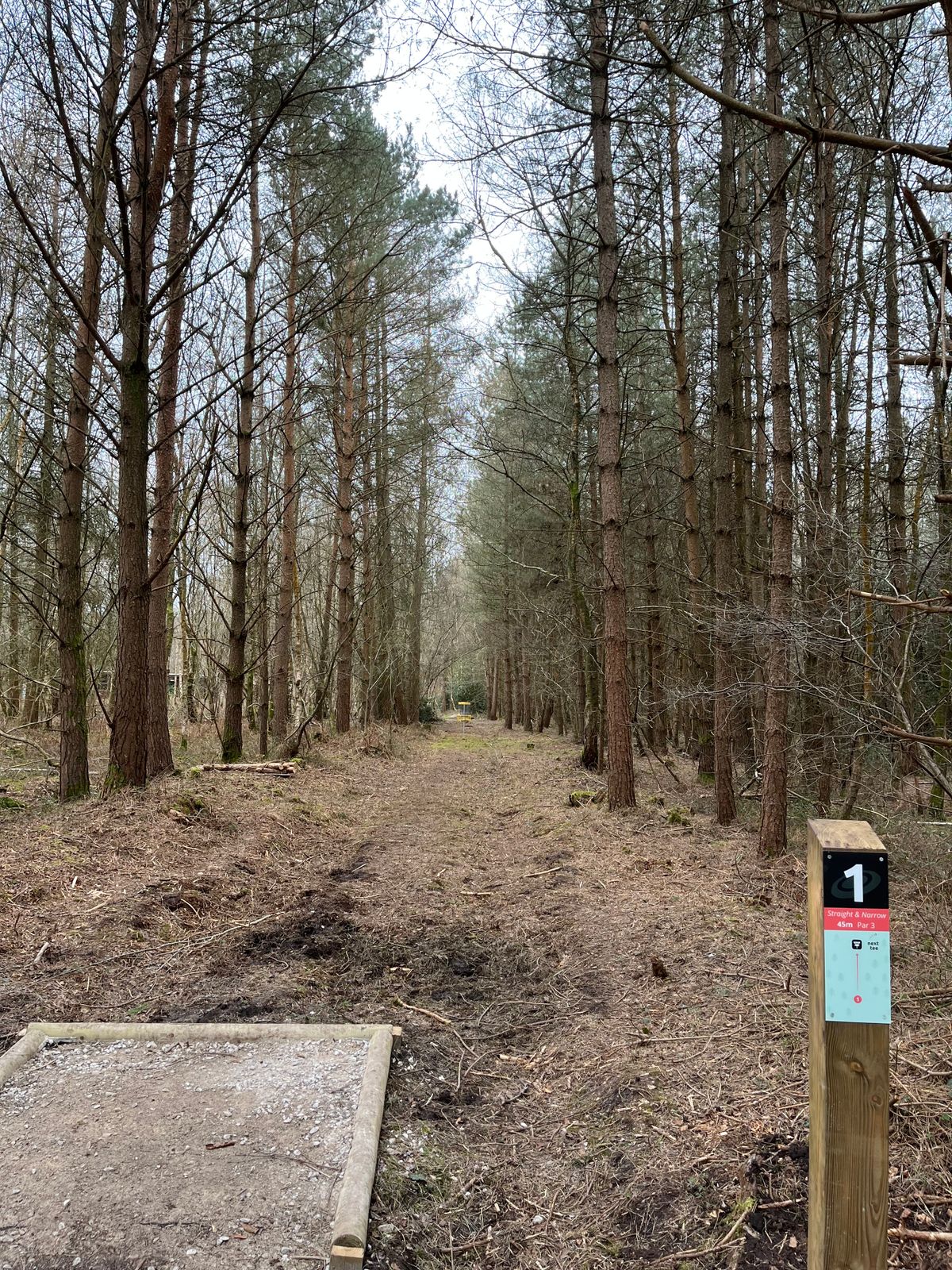 Hole 1 short