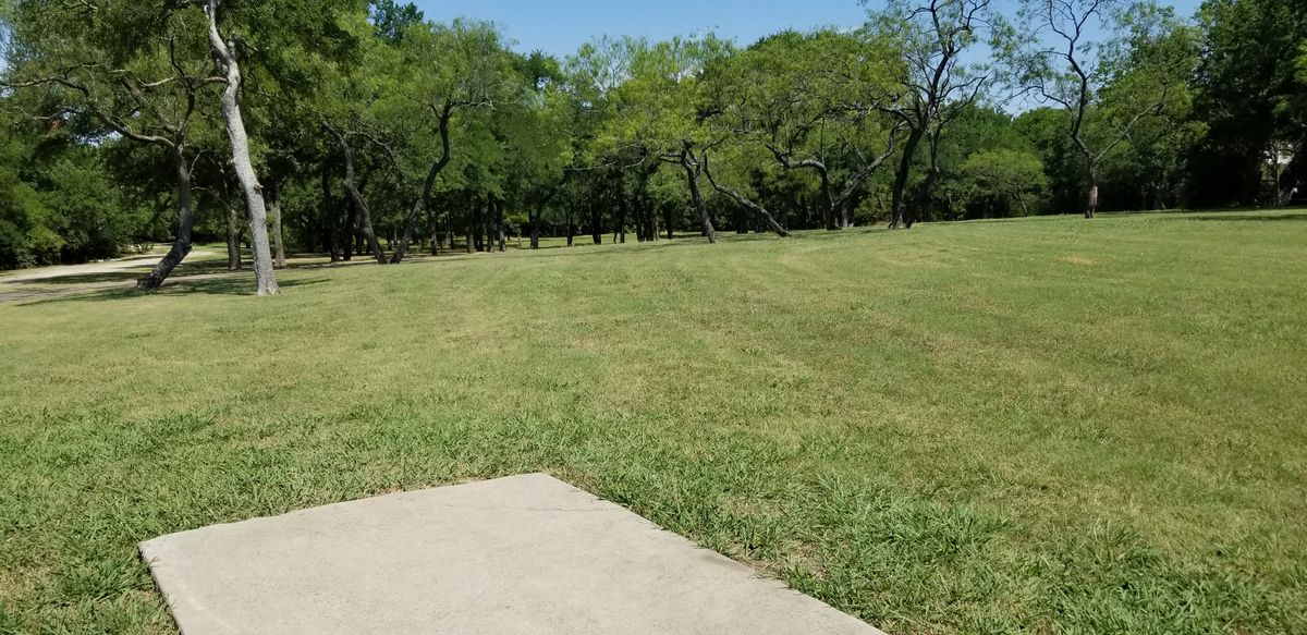 Wooded areas are brush free
