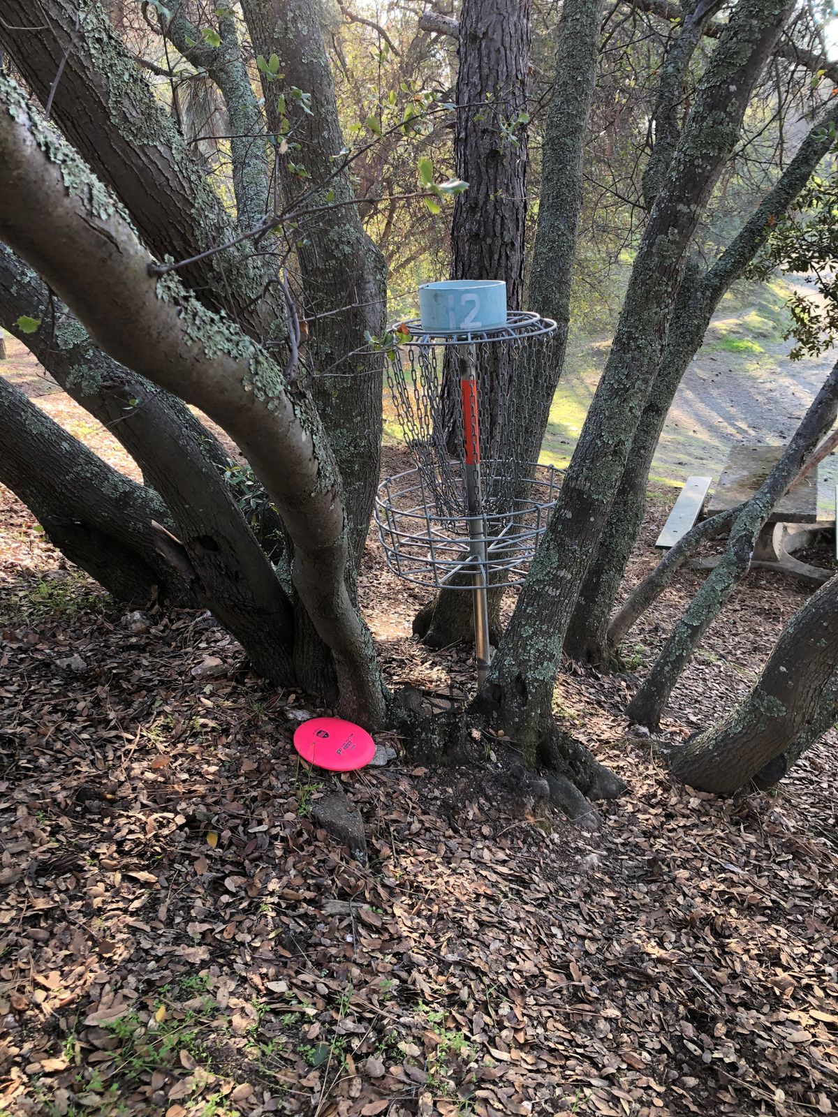 Hole 12