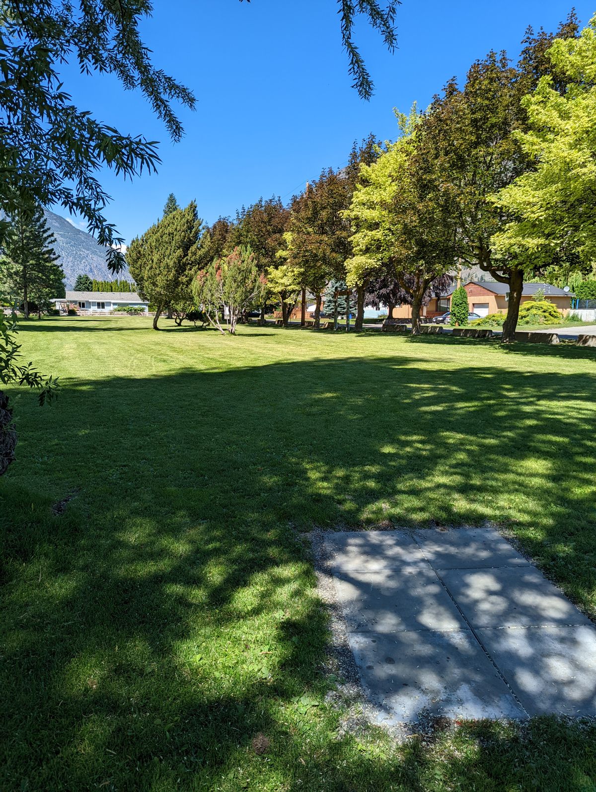Hole 1 - 145' - Behind the small trees