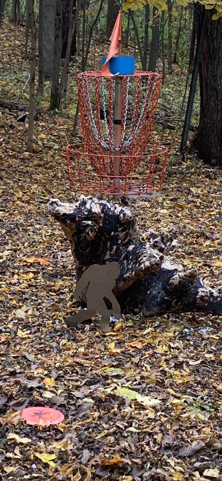 #5 basket