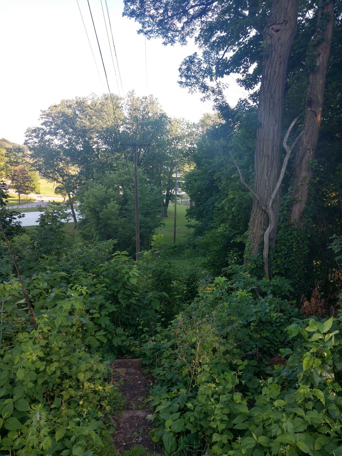 Hole 9