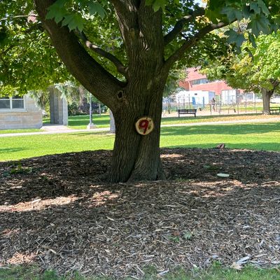Tree target of 9