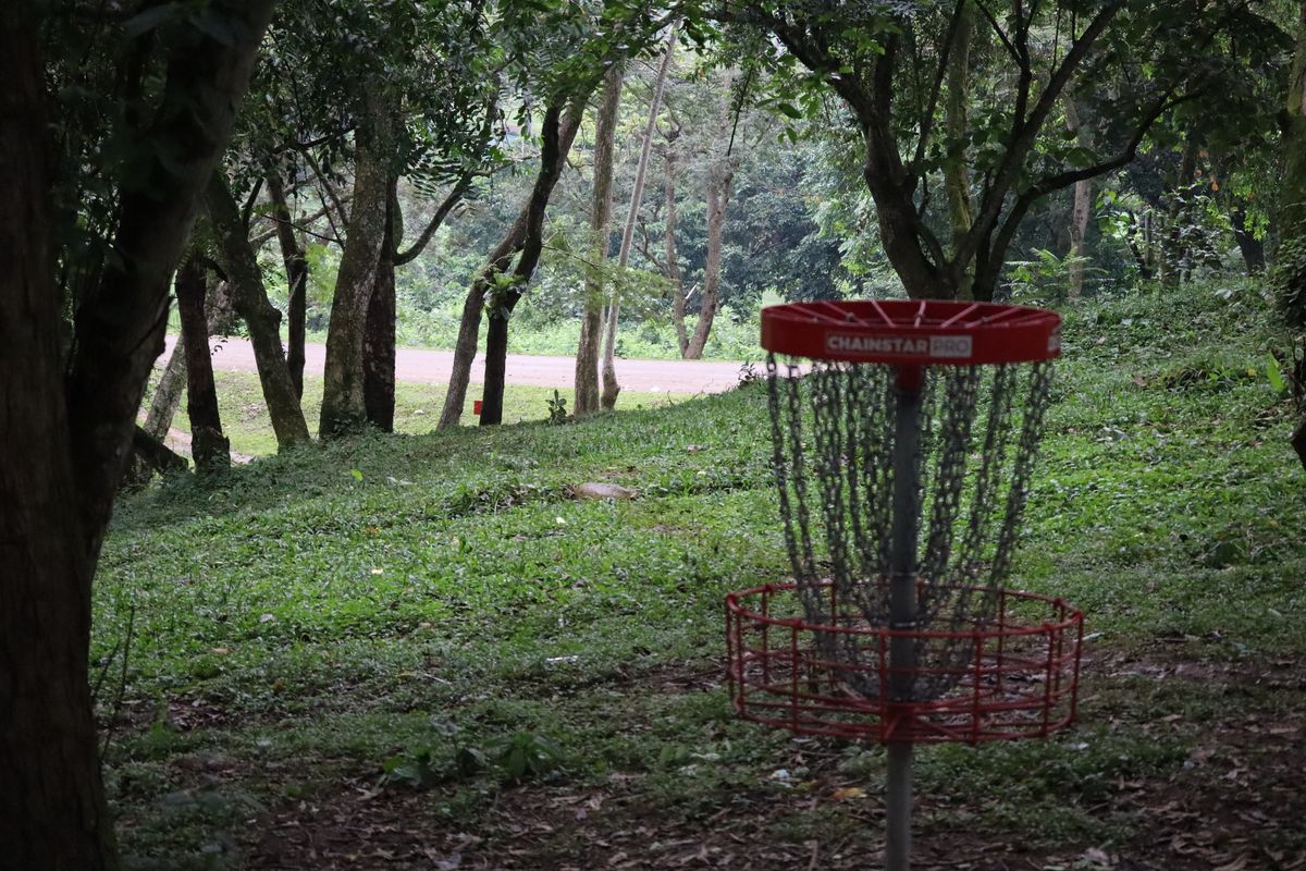 Hole 11 Basket