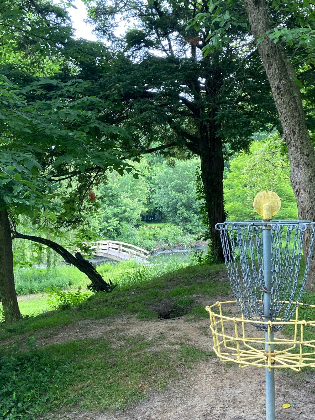 Basket 16W back to tee pad.