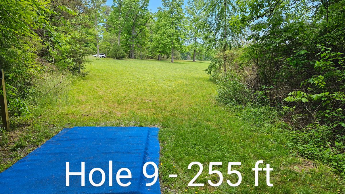 Hole 9 is 280ft up a hill towards the road. Forehand or backhand? Your choice