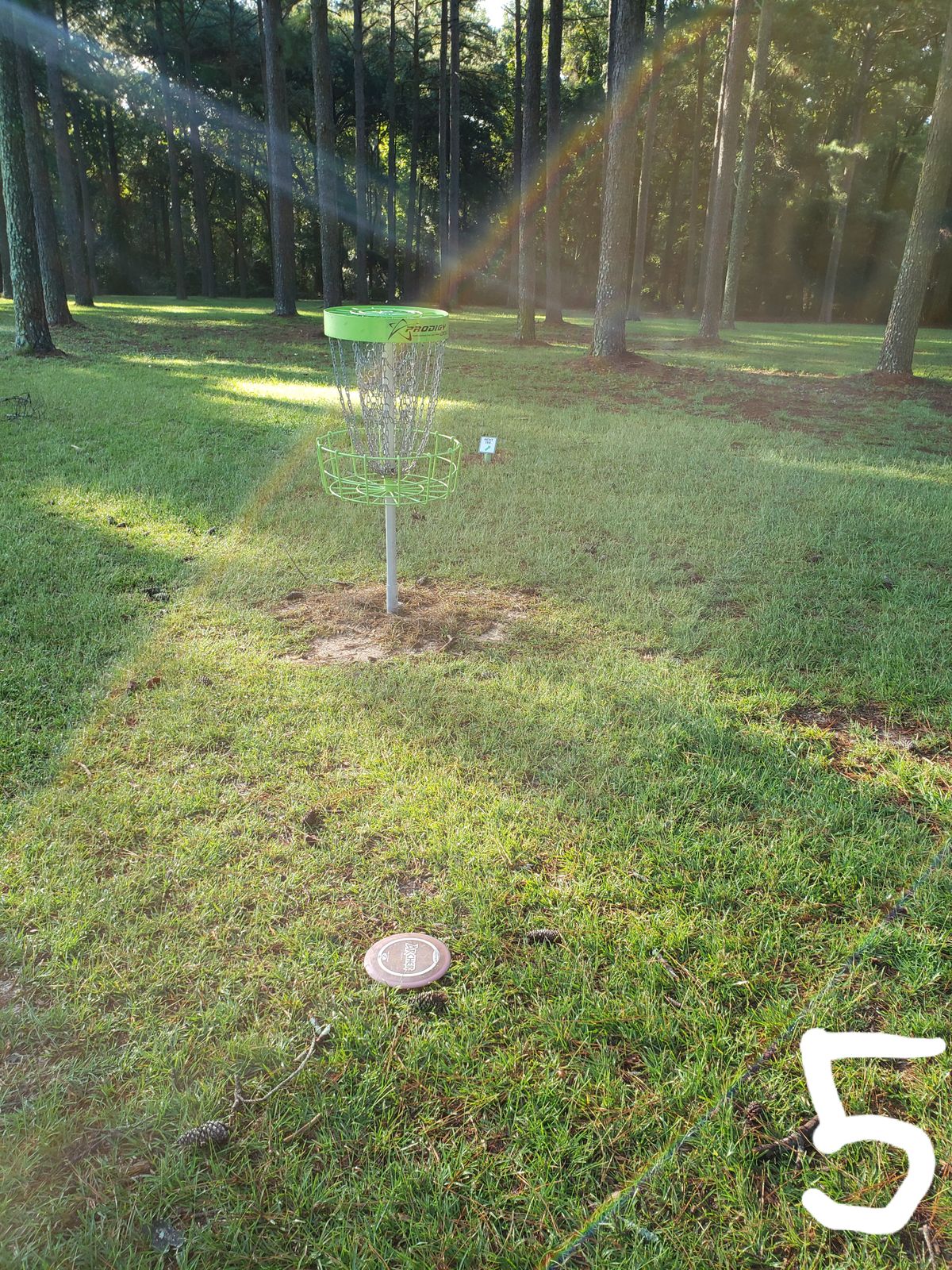#5 Green