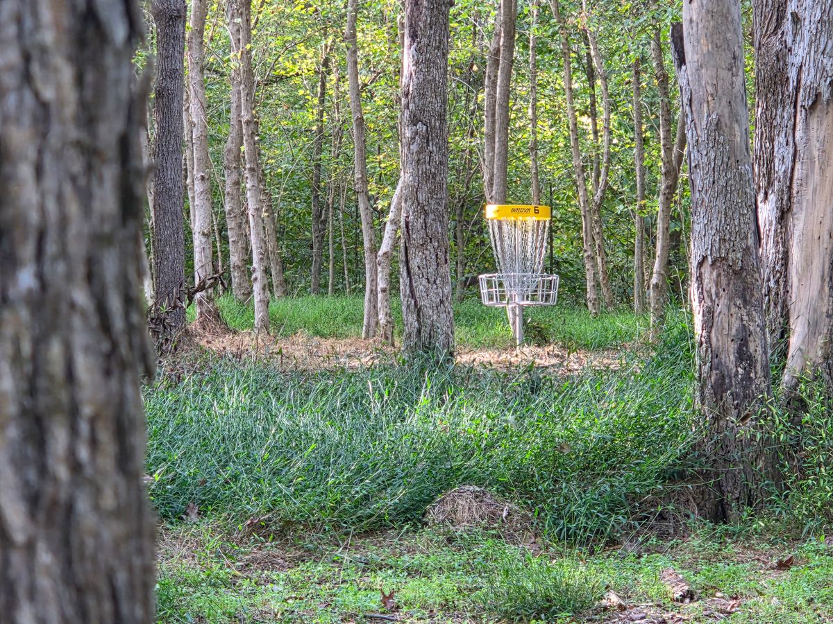 Basket 6 from 7's fairway.