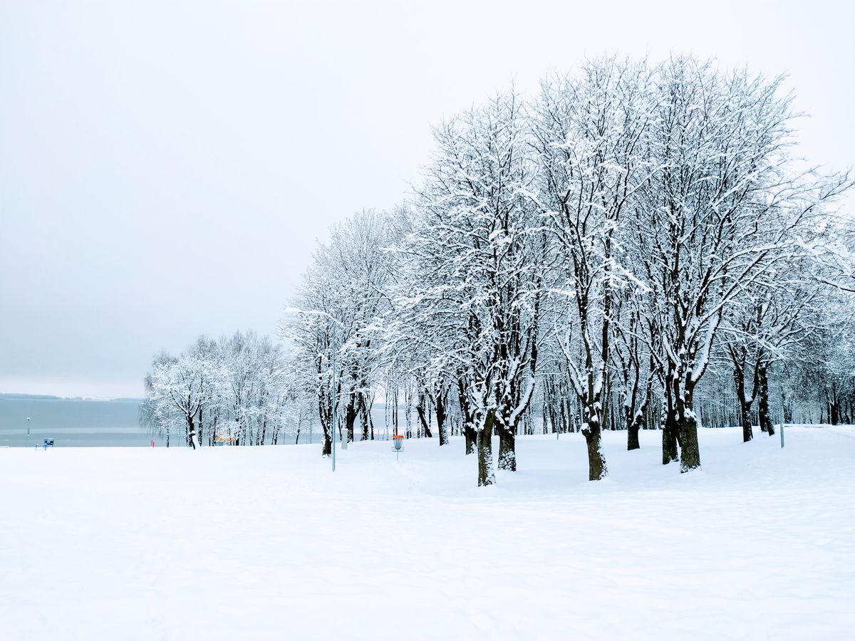 Course in winter