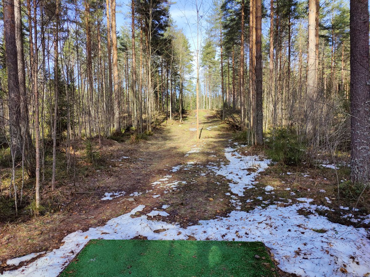 Väylä 12 tii