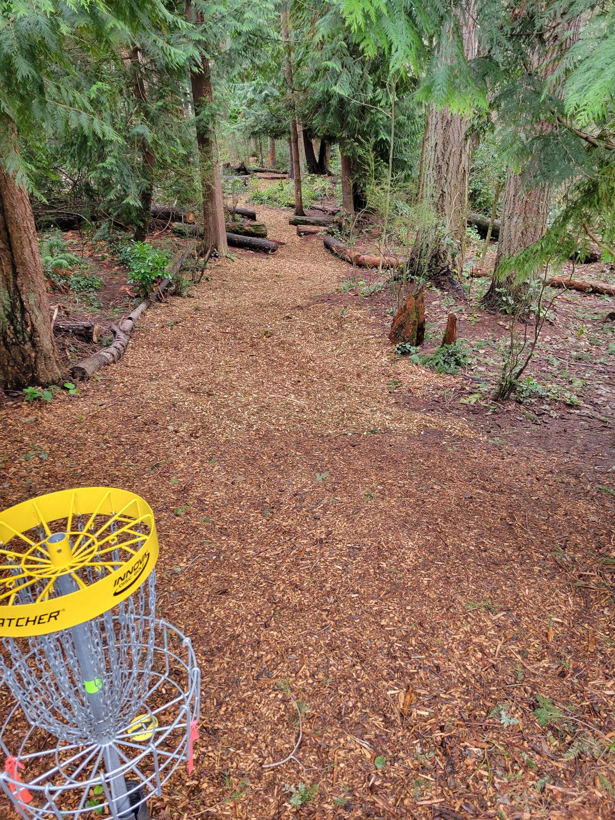 Basket 4/13 looking back to the tee's