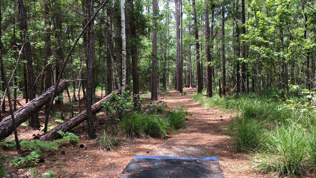 Hole 8