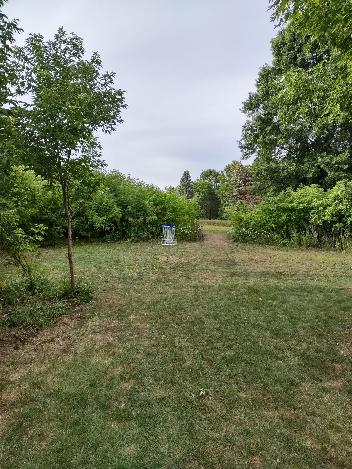 Hole 2 approach