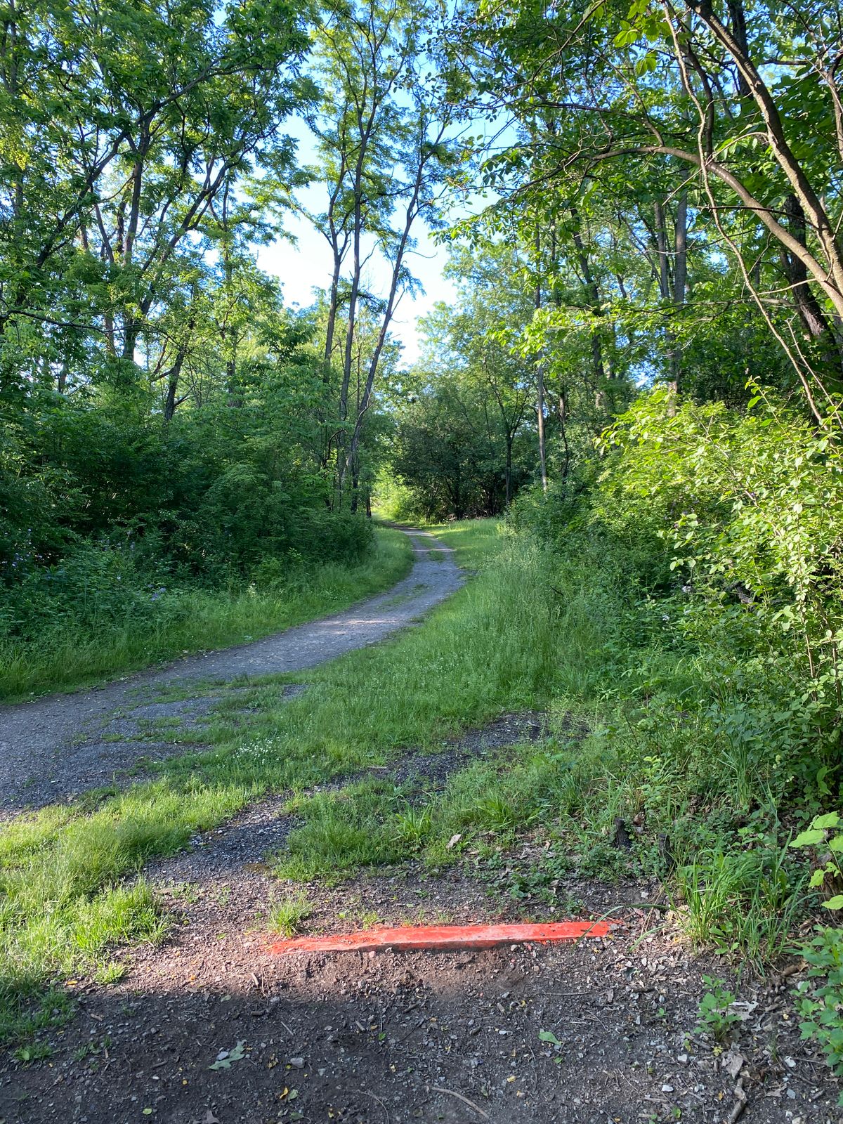 Hole 7 Long Tee