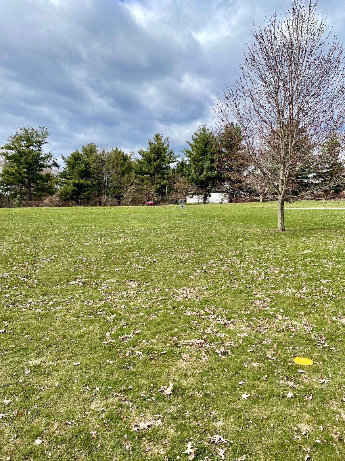 Hole 4 fairway and basket