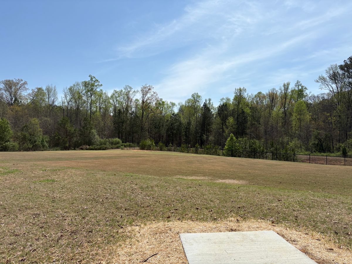 Hole 7 tee