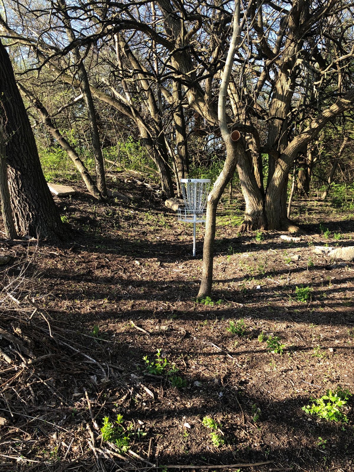 Hole 9 basket