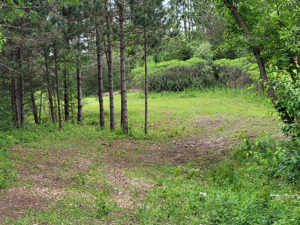 Hole 5
