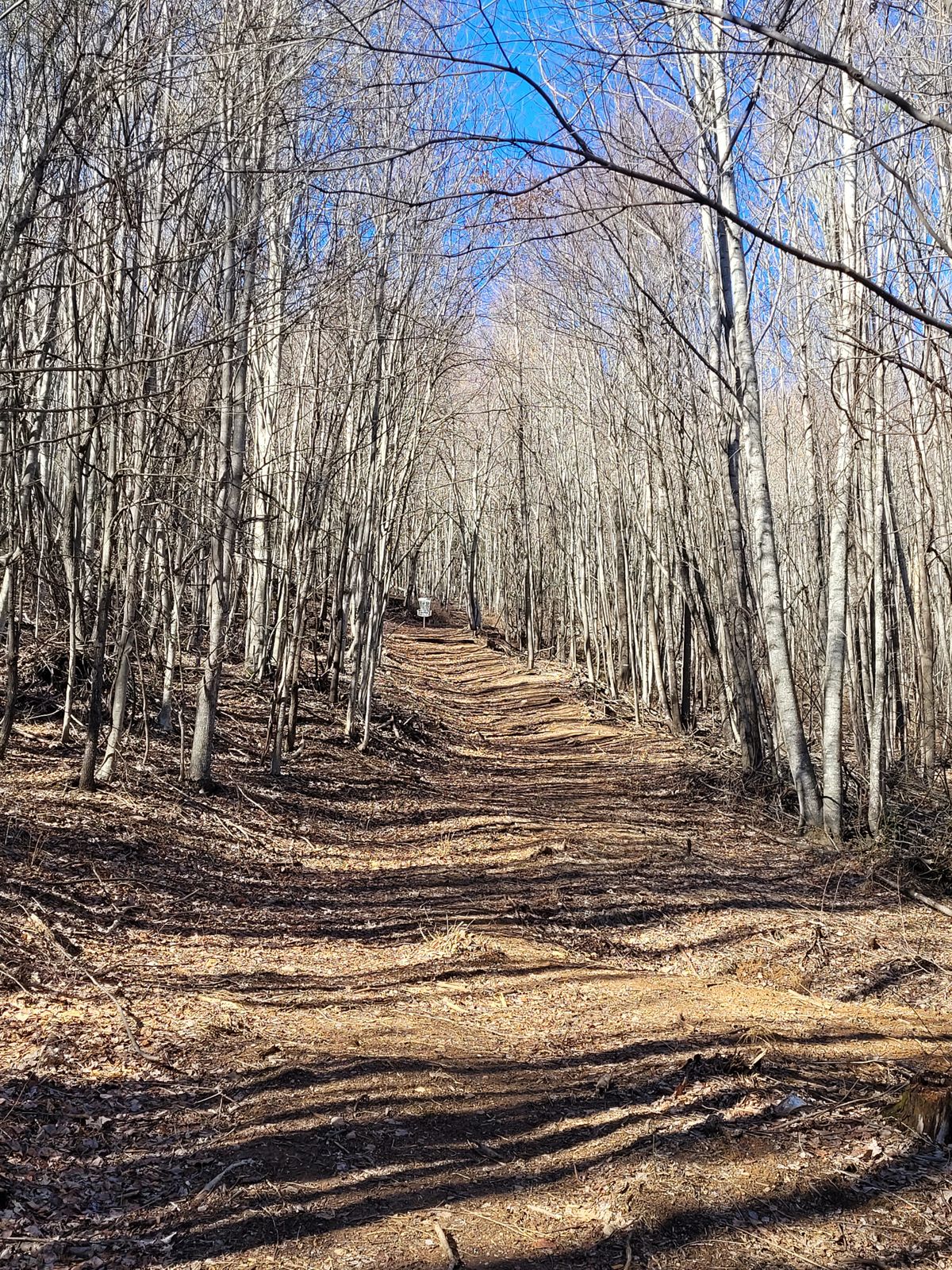 Hole #2 from pad