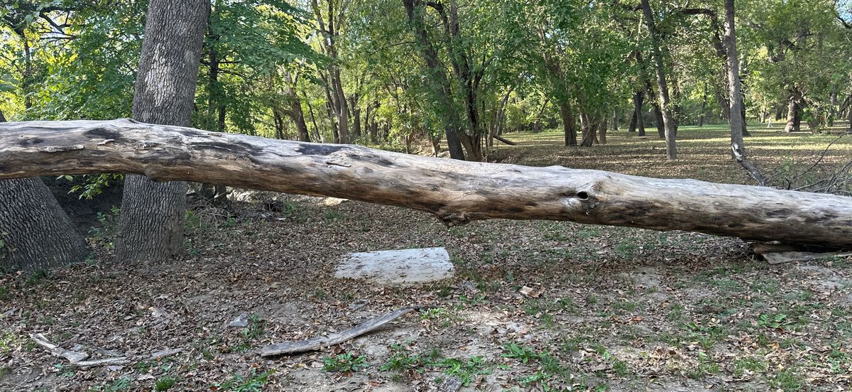 Hole 5*