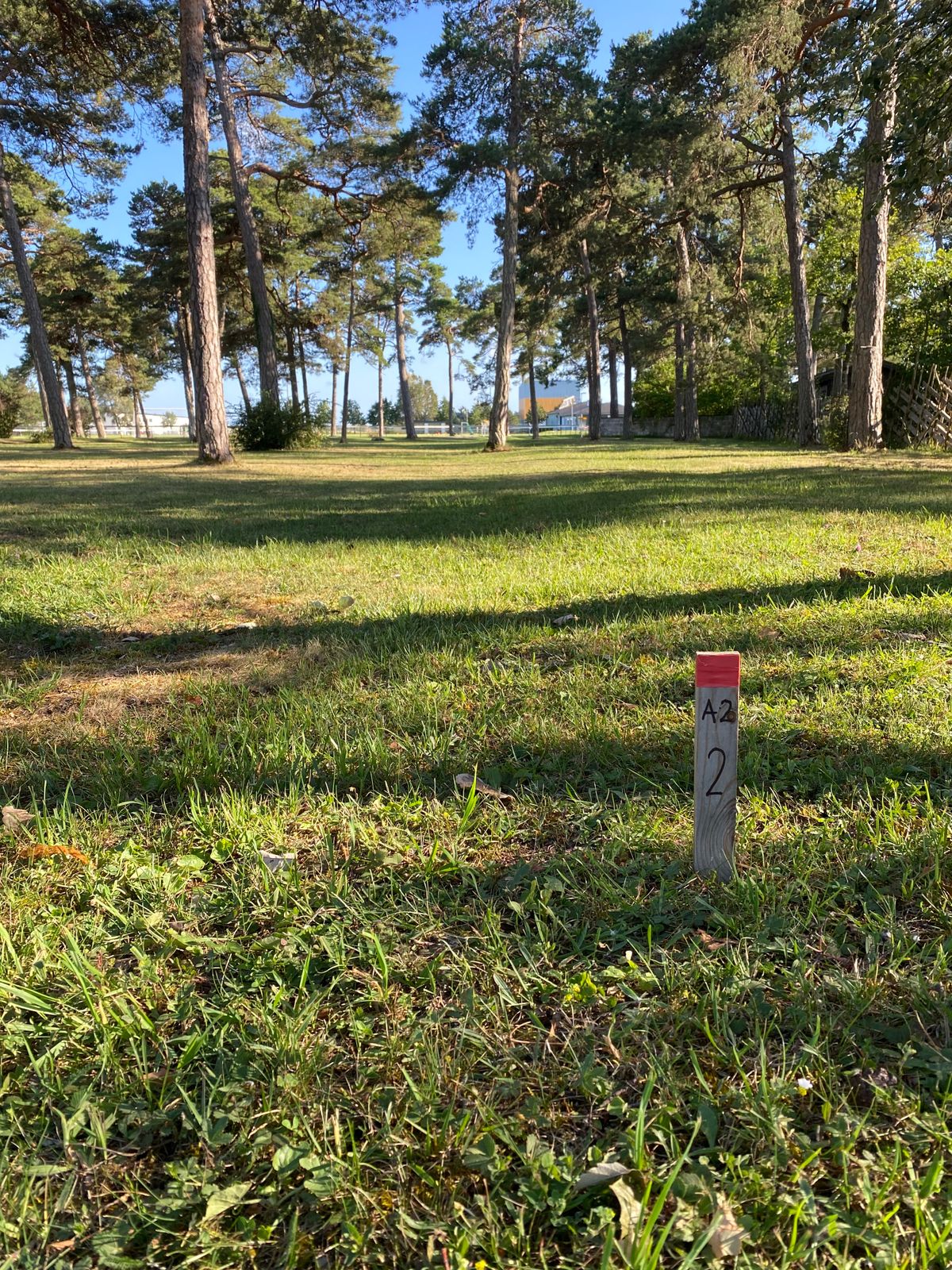 Tee 2