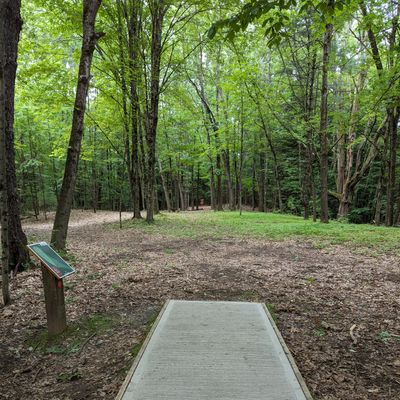 #7 Red tee pad