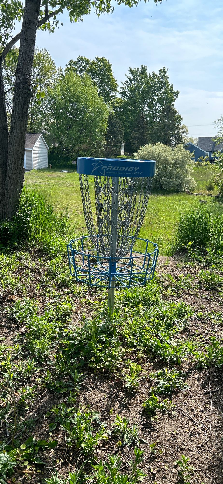 Hole#2 Basket