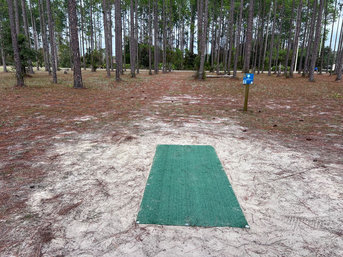 8 short tee pad