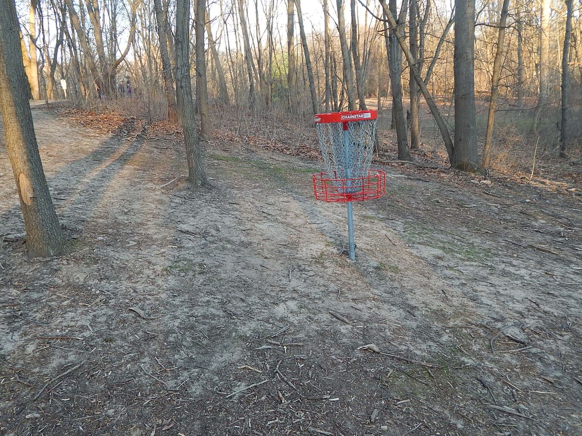 Hole 12 basket
