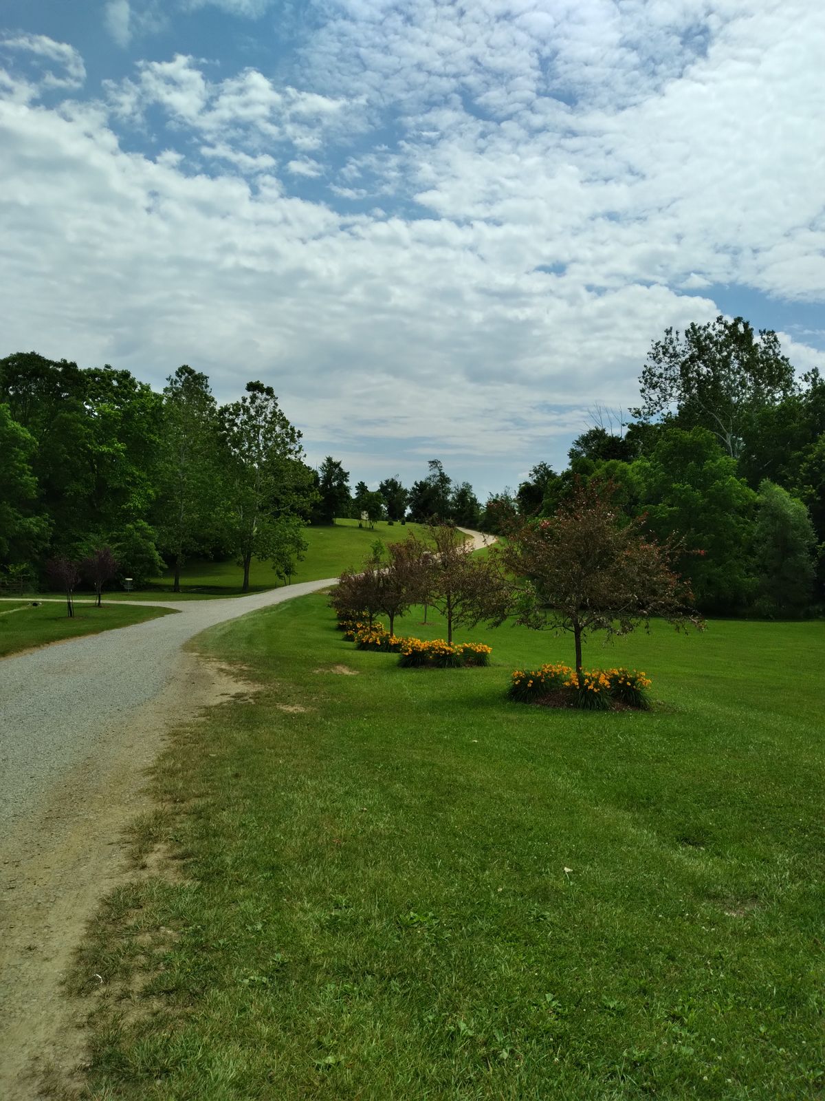 #9 & Driveway into course