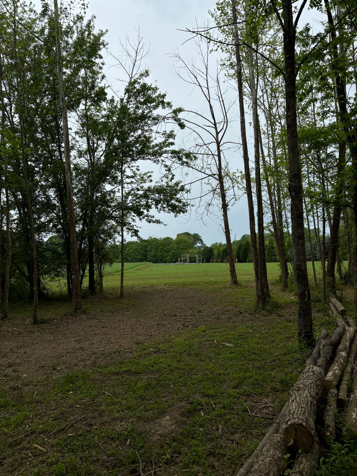 Hole 6