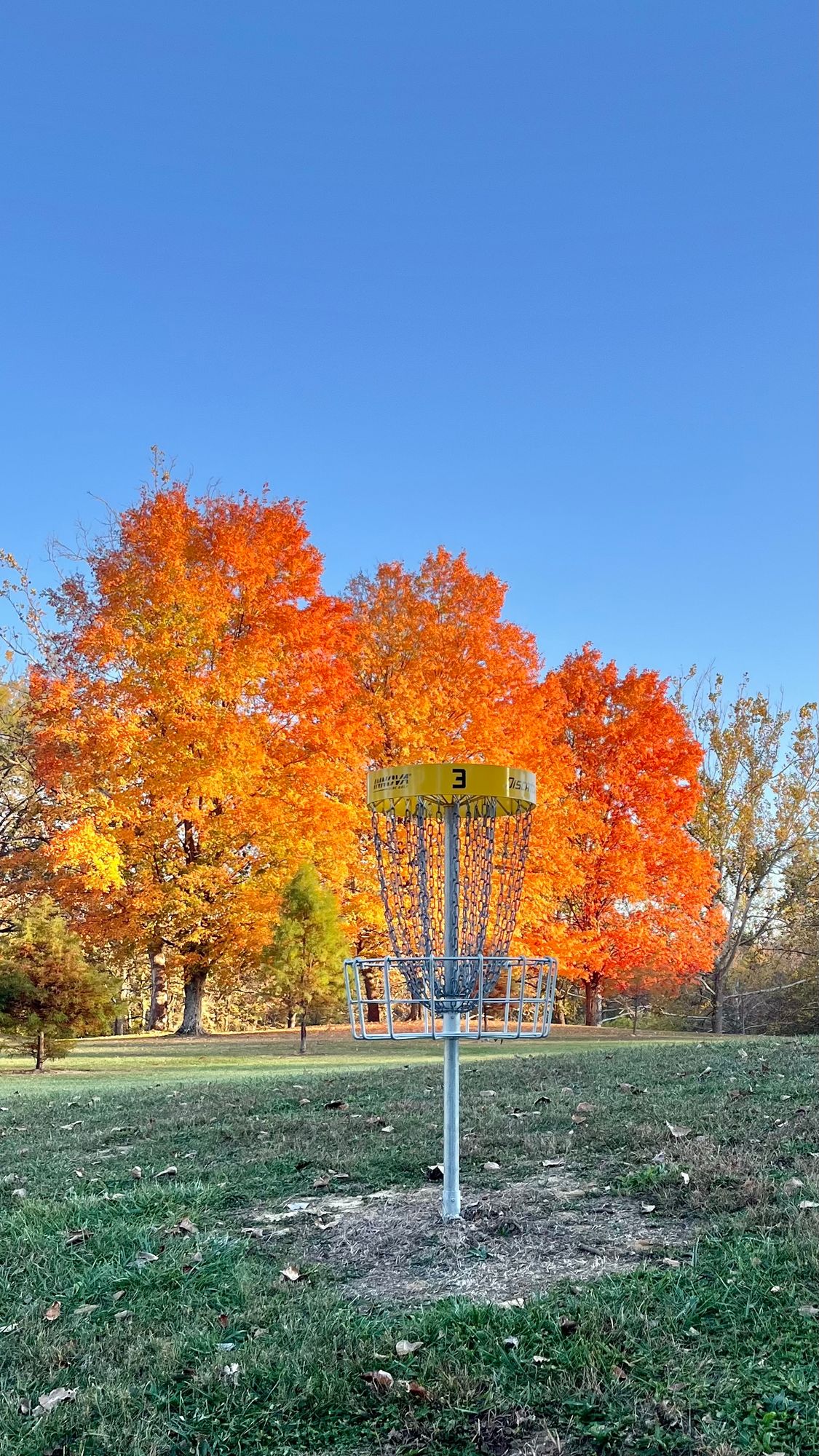 Hole 3 green