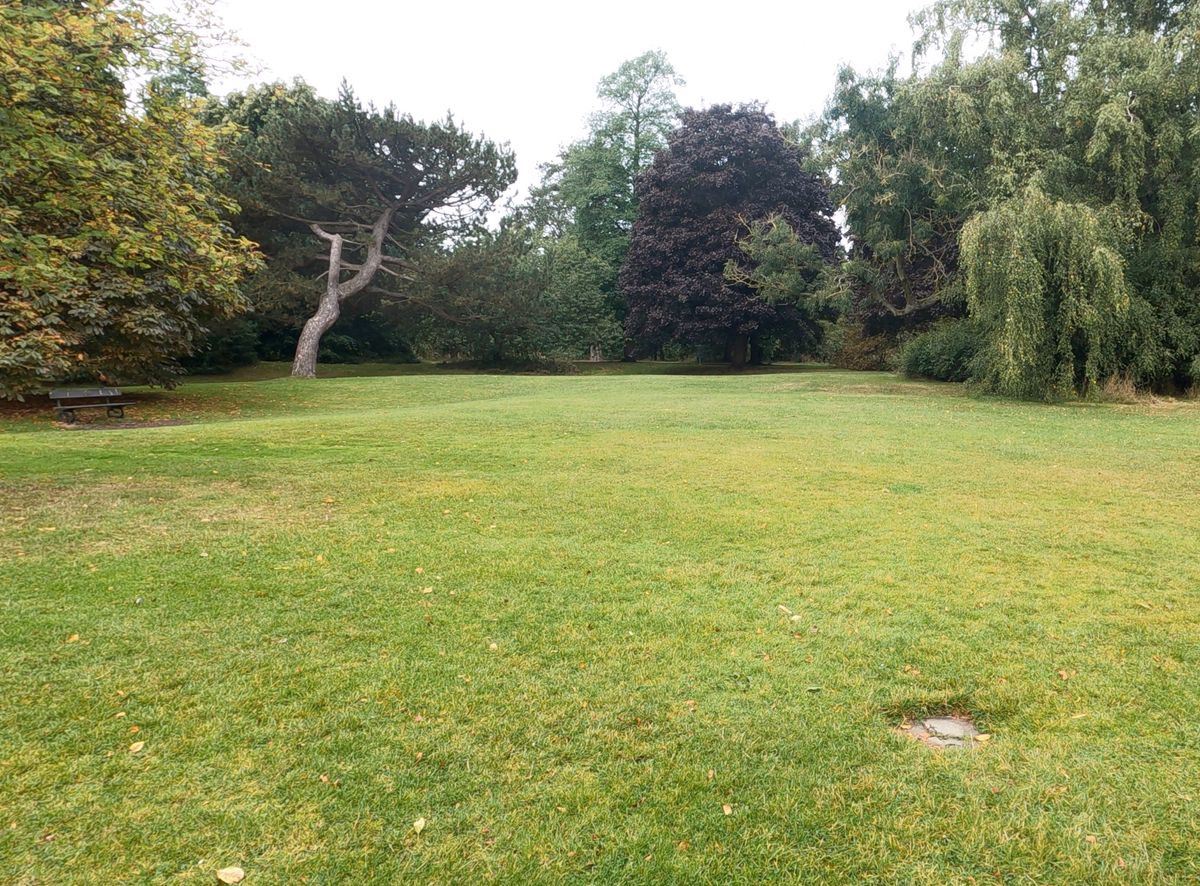 Tee 5