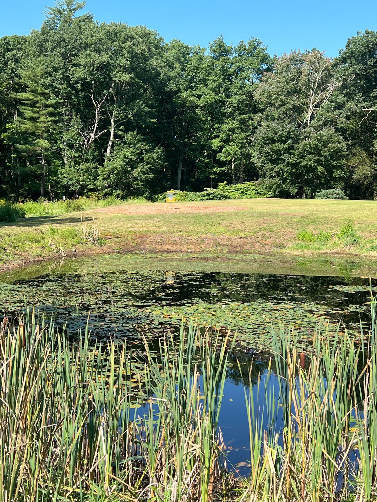 Hole 4 Basket