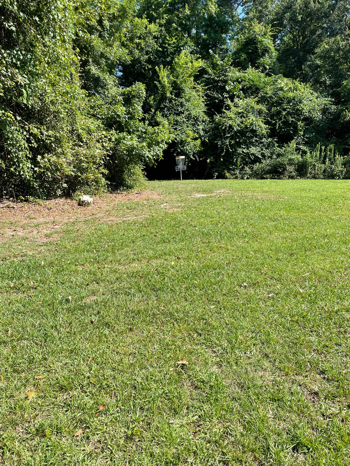 Hole #8 Approach To The Long Pin 
