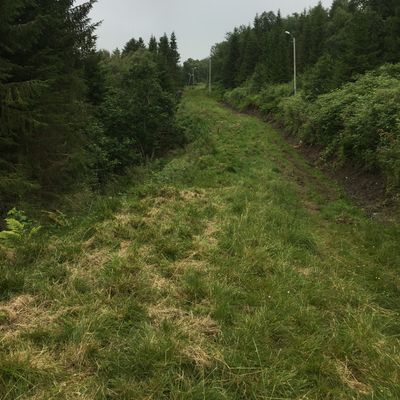 Slik ser nesten alle hullene ut